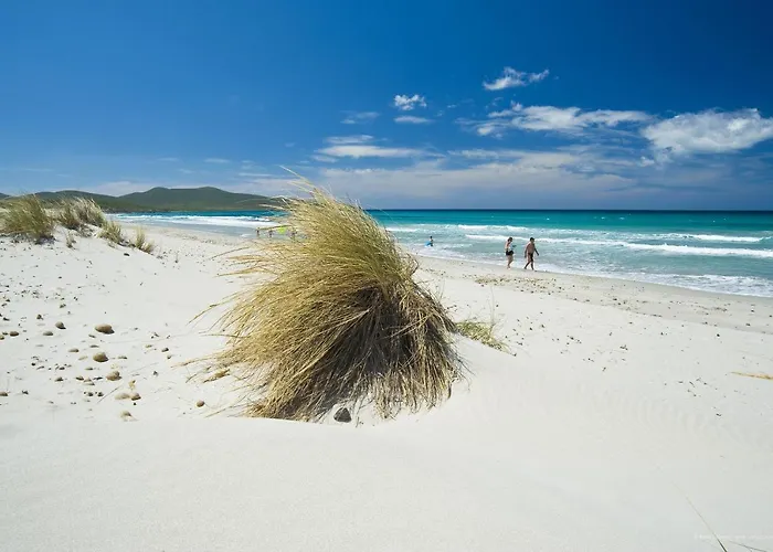 アパートホテル Aquamarina Pavoncella Blu &