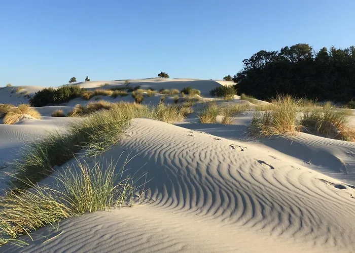 Aquamarina Pavoncella Blu & ポルト・ピノ